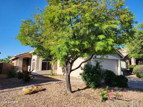 Antelope, BUCKEYE, AZ 85326