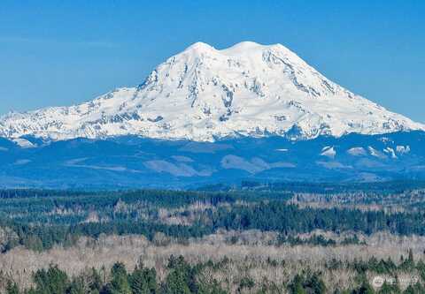 Bald Hill, YELM, WA 98597