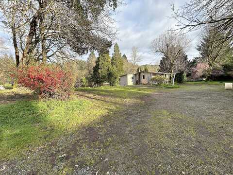 Beaver, CANYONVILLE, OR 97417