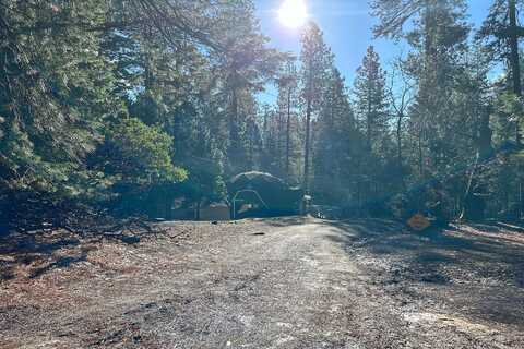 Fallen Oak, POLLOCK PINES, CA 95726