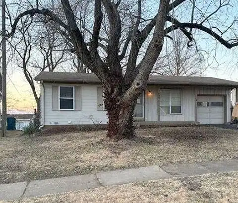 Tulip Tree, HAZELWOOD, MO 63042