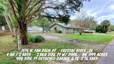 Fan Palm, CRYSTAL RIVER, FL 34429