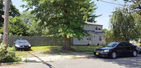 Aster, LEVITTOWN, NY 11756