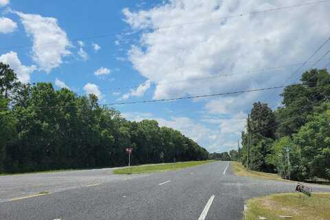 Highway 441, MICANOPY, FL 32667