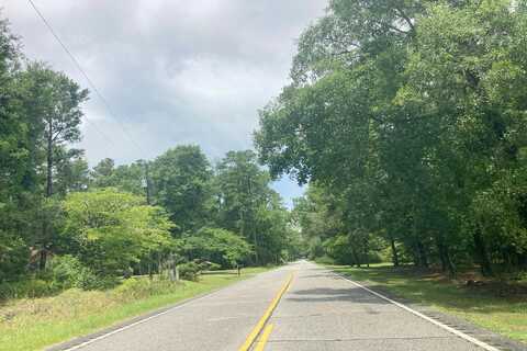 Joyner Swamp, GALIVANTS FERRY, SC 29544