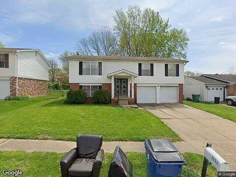 Millvalley, FLORISSANT, MO 63031