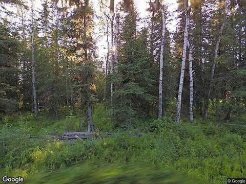 Iditarod, SOLDOTNA, AK 99669