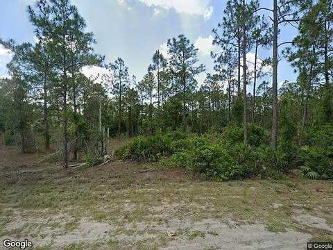 Jaguar, LEHIGH ACRES, FL 33974