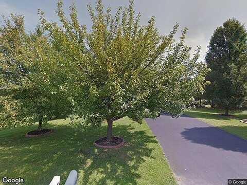 Willow Tree, MIDDLETOWN, MD 21769