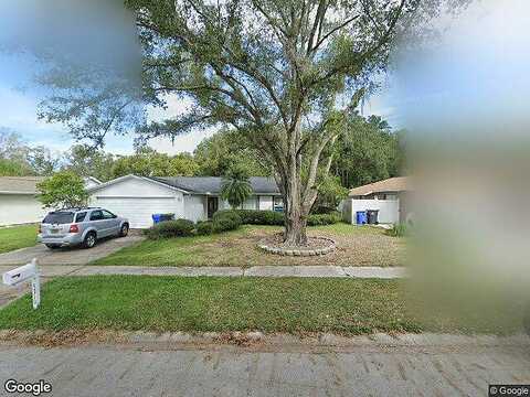 Black Pine, TAMPA, FL 33624