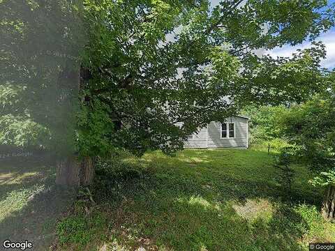 Bloom, GILBERTSVILLE, NY 13776