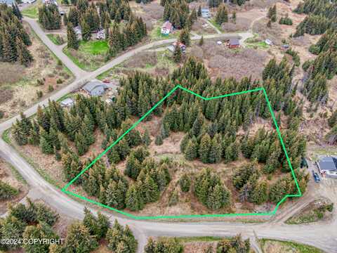 5665 Felix Circle, Homer, AK 99603