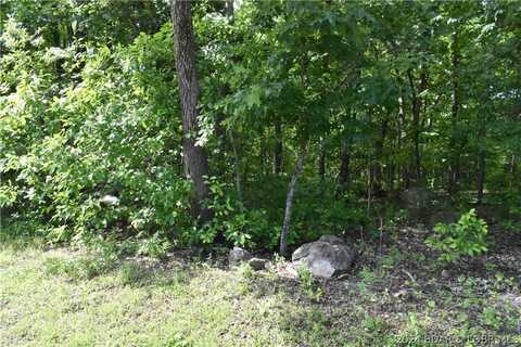 Lot 100 Palisades Point #2, Lake Ozark, MO 65049