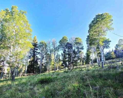 284 Kebler Trail, Powderhorn, CO 81243