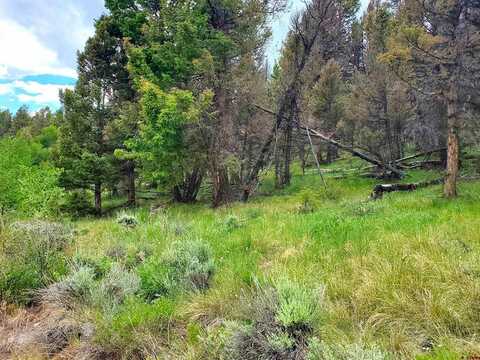 284 Kebler Trail, Powderhorn, CO 81243