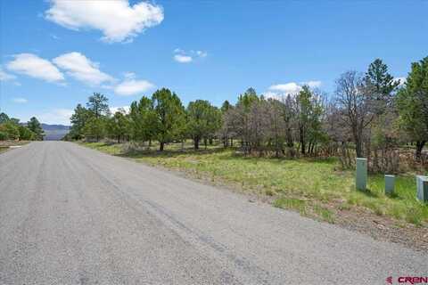 TBD Woodchuck Place, Ridgway, CO 81432