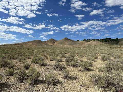 TBD Jig Road, Montrose, CO 81403