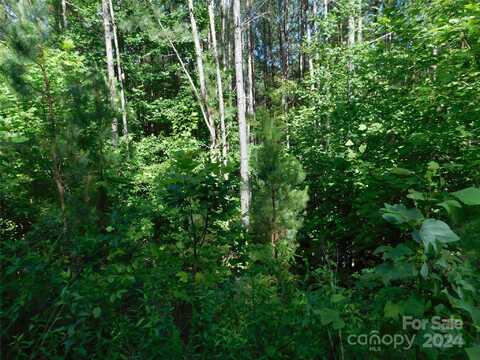 207 W Settings Boulevard NW, Valdese, NC 28690