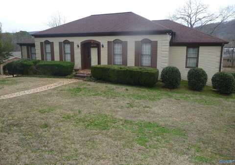 2039 Forest Avenue NW, Fort Payne, AL 35967