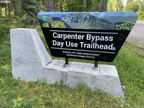 0 Carpenter Bypass, Lorane, OR 97451