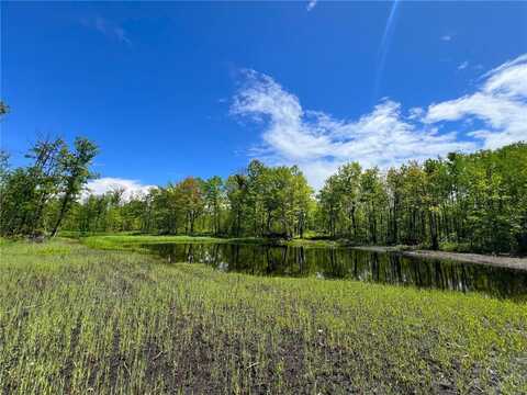 Xxx Woods Road, Isle, MN 56342