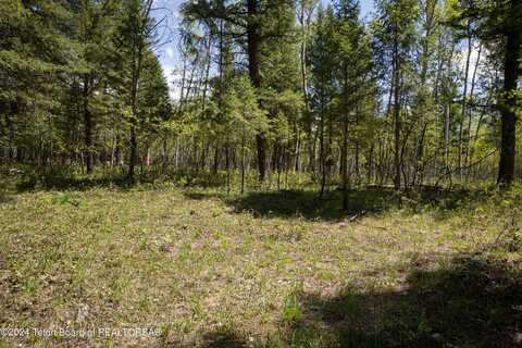 Lot 32 NORTH FOREST Drive, Star Valley Ranch, WY 83127