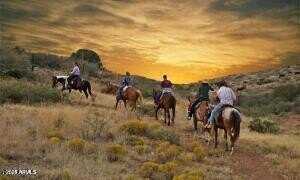 423rd N of Bethany Home Road, Tonopah, AZ 85354