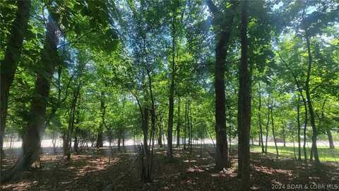 Lot #241 Grand Cove Road, Porto Cima, MO 65079