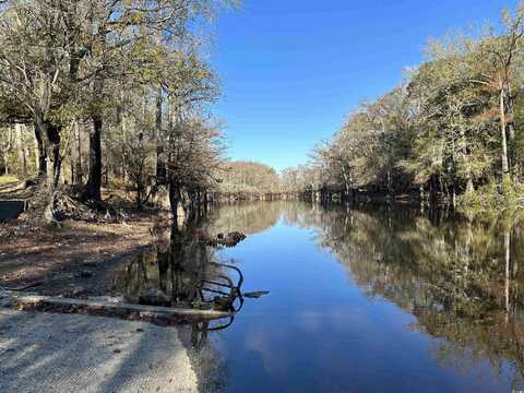 TBD Snows Lake Rd., Johnsonville, SC 29555