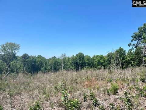 0 Peach Orchard Road, Dalzell, SC 29040