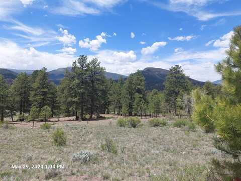 75 Skyline Drive, South Fork, CO 81154