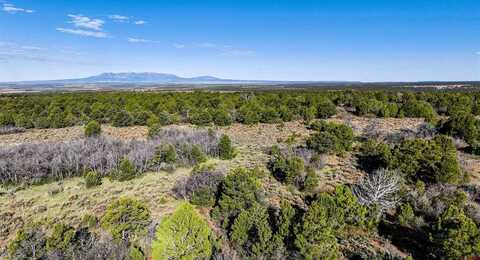 LOT 4 Road J.7, Egnar, CO 81325