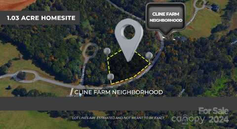 Lot 9 Cline Farm Road, Lincolnton, NC 28092