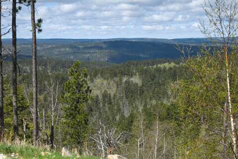 Lot 11 Aventure Loop, Lead, SD 57754