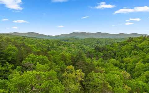 Tr C John Waters Road, Cherry Log, GA 30522