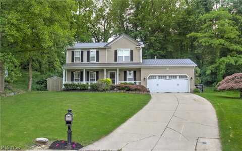 445 Appletree Court, Painesville, OH 44077