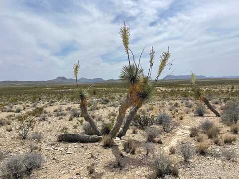 G79 S Bad Bunny Rd., Terlingua, TX 79852