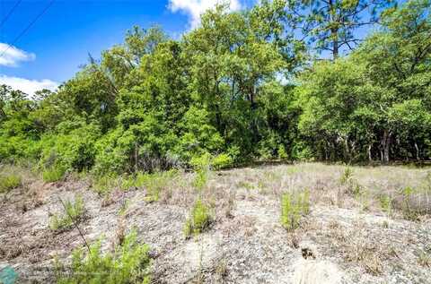 Tbd SW Pineapple Hill Drive, Other City - In The State Of Florida, FL 34431
