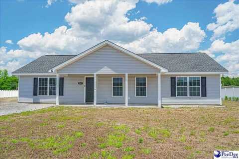 889 Baylee Ct., Lake View, SC 29563