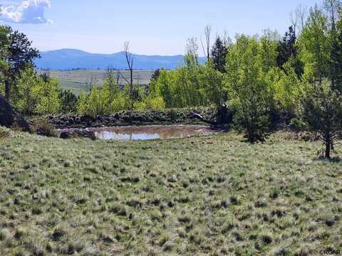 4780 NW CR 352A, Canon City, CO 81212