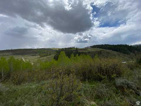 41 GROUSE LOOP RD, Freedom, WY 83120