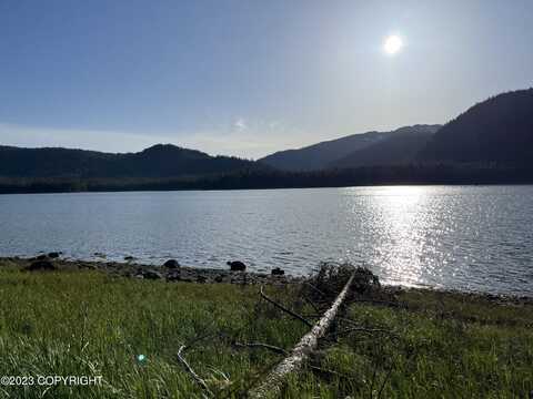 24ac Blueberry Lane, Petersburg, AK 99833