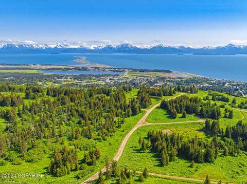 195 Whispering Meadows Avenue, Homer, AK 99603