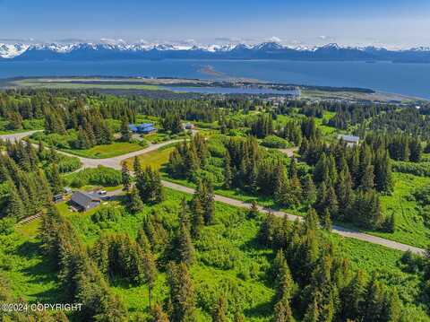 228 Tulin Terrace Boulevard, Homer, AK 99603