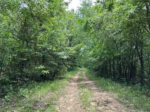 Lot 257 Aster DR, Rogers, AR 72756