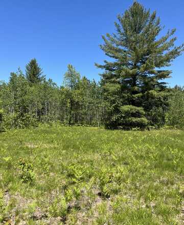 Lot 11 Metzgar Road, Kalkaska, MI 49646