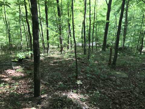 Lot 202 Deep Woods Drive, Dunlap, TN 37327