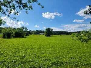 6.87 Acres Old Dixie Hwy, Evensville, TN 37332