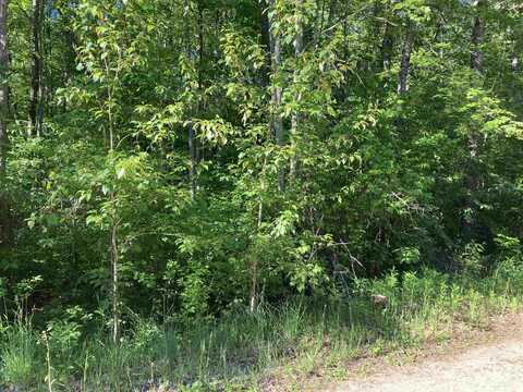 Lot 58 Birch, Gladwin, MI 48624