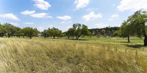 72 Boot Ranch Circle, Fredericksburg, TX 78624